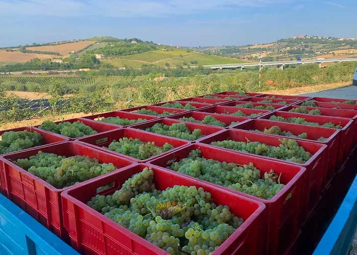 Agriturismo Biocore 2 - Colledoro
